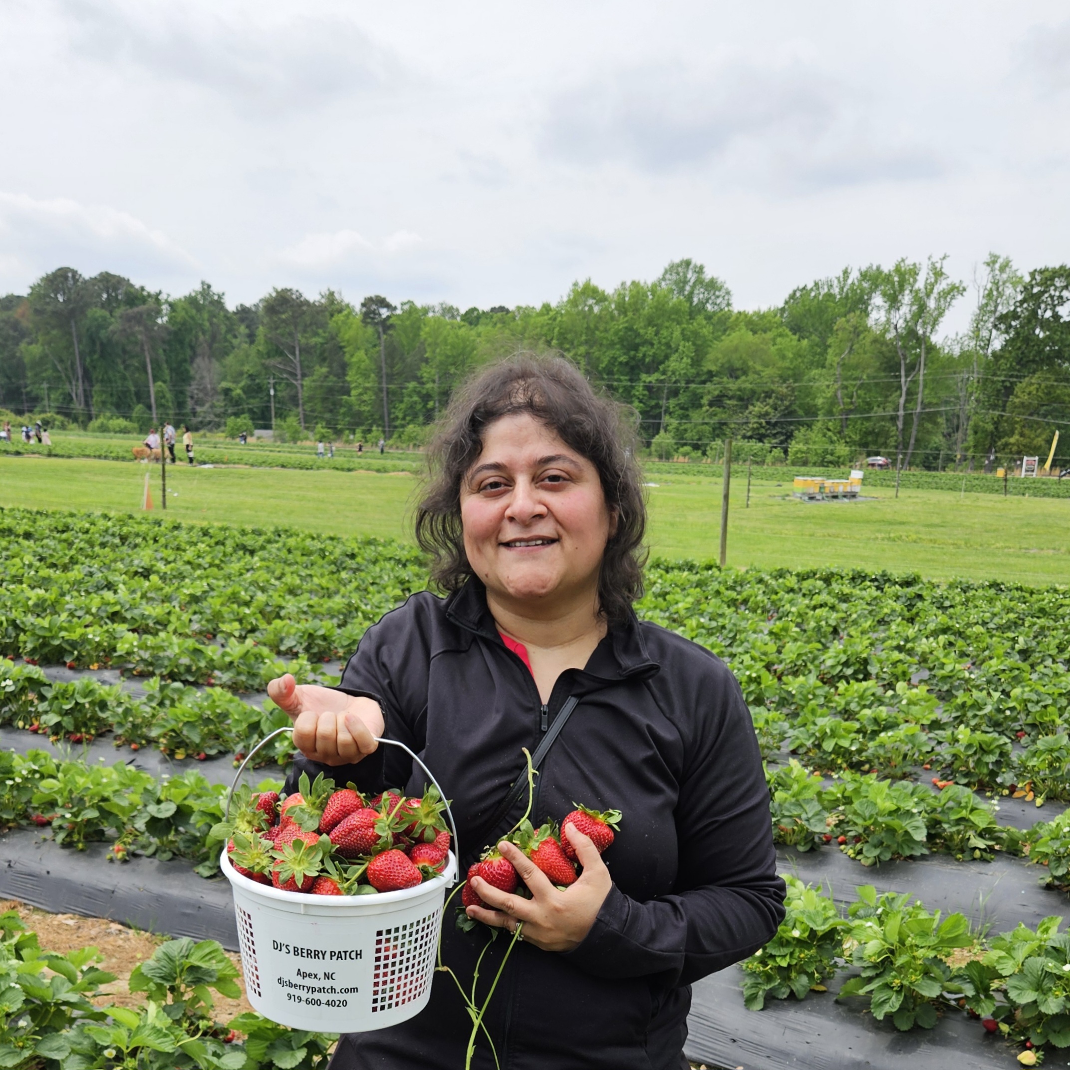 Hema picking strawberries